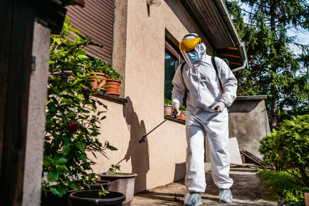 Best Mosquito Control Services  in Bastrop, LA