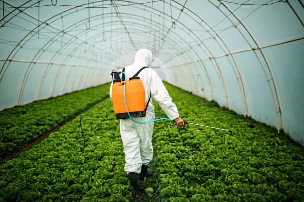 Best Affordable Pest Control Services  in Bastrop, LA