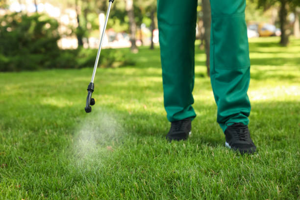 Best Flea Control Services  in Bastrop, LA