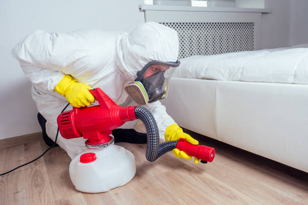 Best Cockroach Control Services  in Bastrop, LA