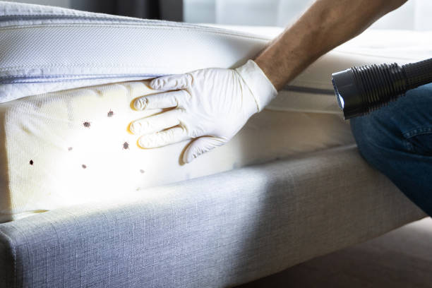Best Exterminator Services  in Bastrop, LA