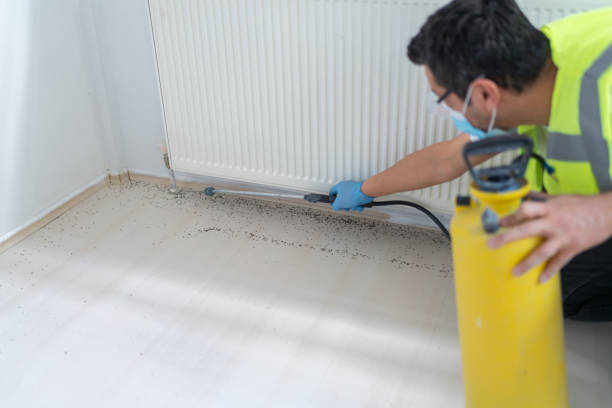 Best Rat Extermination Near Me  in Bastrop, LA