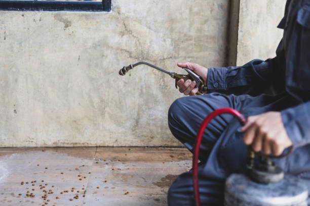  Bastrop, LA Pest Control Pros
