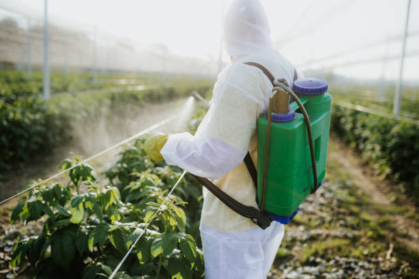 Professional Pest Control in Bastrop, LA